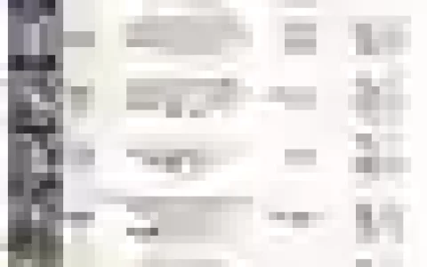 奥斯卡pve阵容