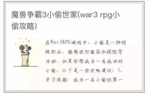 小偷世家2.0攻略
