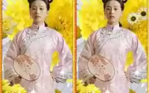 步步惊心找茬攻略