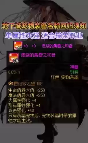 dnf18年套宠物技能插图1