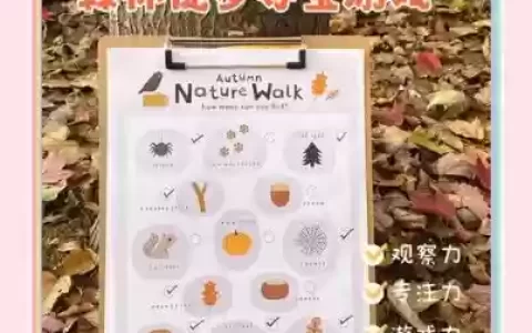 森林寻宝游戏攻略