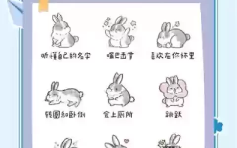 拯救兔子营救55关攻略