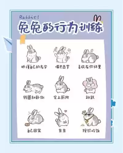 拯救兔子营救55关攻略插图 拯救兔子营救55关攻略插图