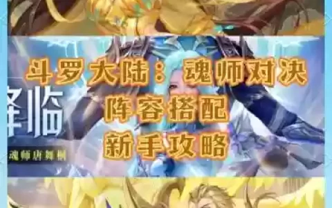 斗罗大陆颠峰阵容怎么搭配