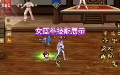蓝拳换装是什么技能
