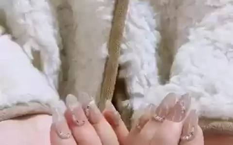 猫眼搭配阵容