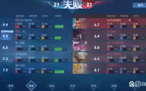 扁鹊队友阵容搭配
