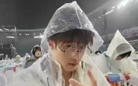 凡哥阵容_1