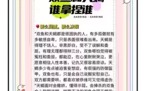 天蝎双鱼阵容