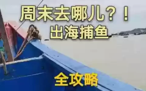 真人对战捕鱼攻略