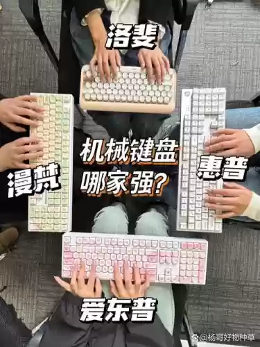 键盘侠阵容插图1