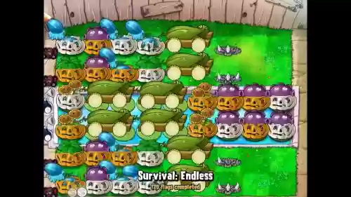 生存的阵容插图1 生存的阵容插图1