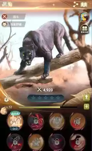 异兽战场阵容搭配插图1