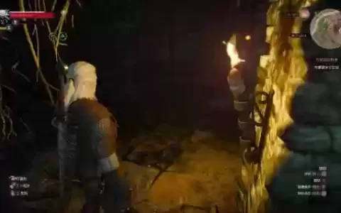 巫师3白果园传奇武器_1