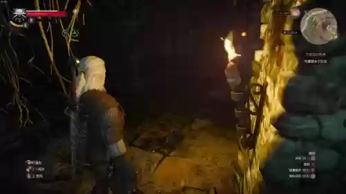 巫师3白果园传奇武器_1插图 巫师3白果园传奇武器_1插图