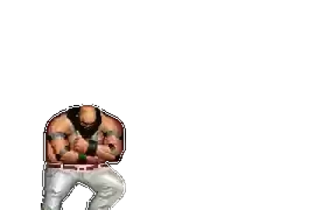 拳皇陈国汉技能gif