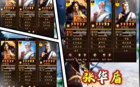 后期华佗阵容