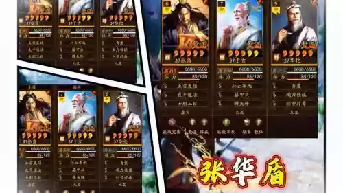 后期华佗阵容插图 后期华佗阵容插图