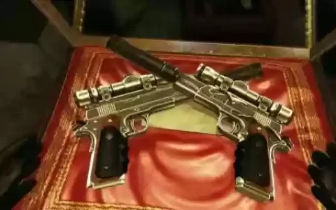 杀手6最强武器