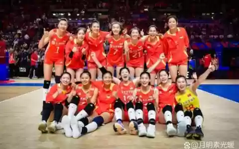 女排阵容组成