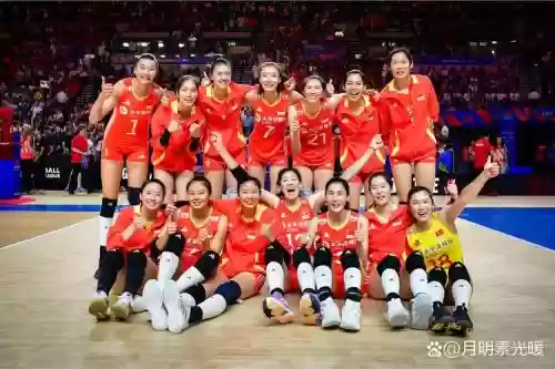 女排阵容组成插图