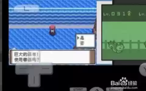 口袋妖怪白2技能机登瀑_1