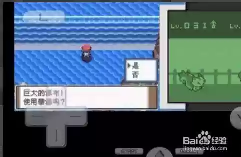 口袋妖怪白2技能机登瀑_1插图 口袋妖怪白2技能机登瀑_1插图