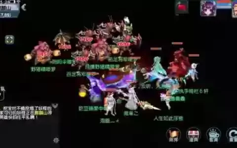 梦幻西游100级定心套子