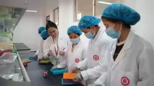 药剂两项技能插图1