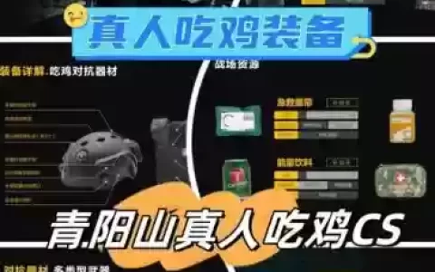 手机吃鸡怎么看队友装备6