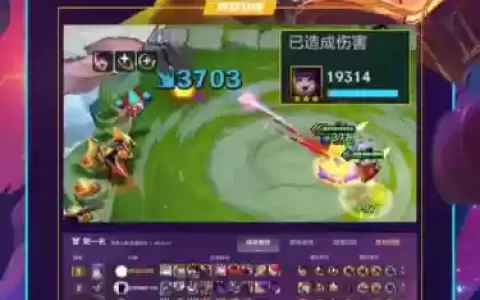 露露猫咪阵容