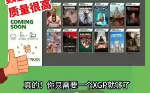 xgp隔离阵容