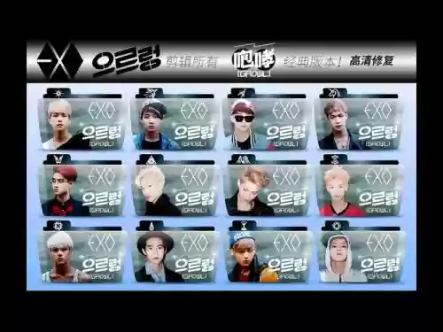 exo阵容分配插图