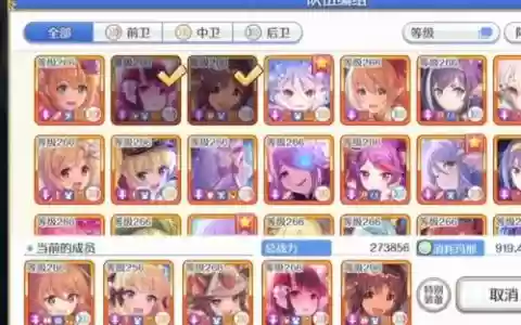 结缘活动阵容