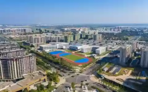 空港新城阵容