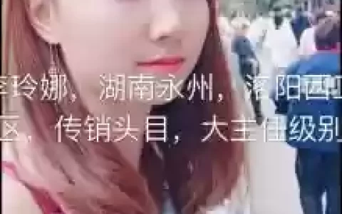 传销娜阵容