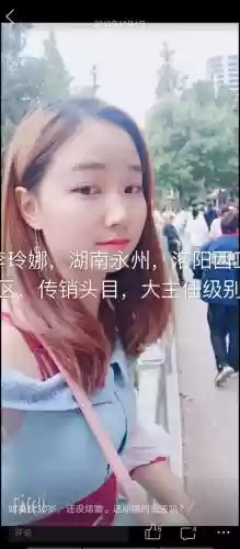 传销娜阵容插图