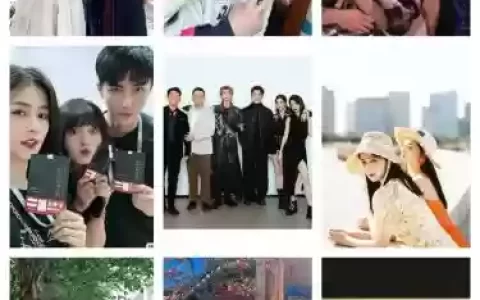 白鹿樱阵容搭配