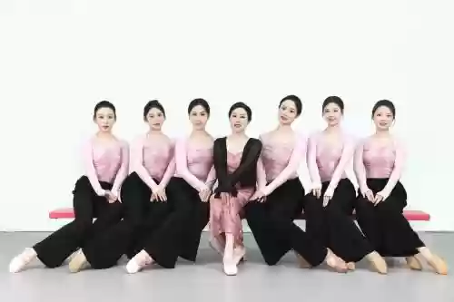 舞蹈培训阵容插图