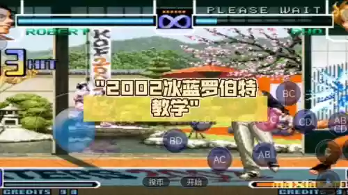 2002冰蓝技能插图