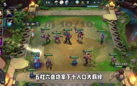 蓝领野阵容搭配