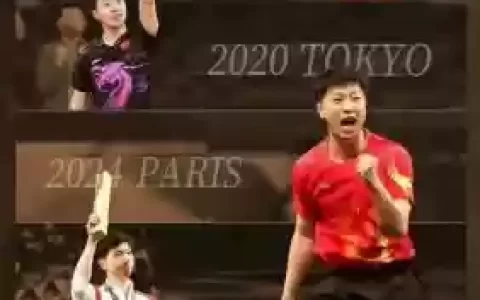 马龙的阵容