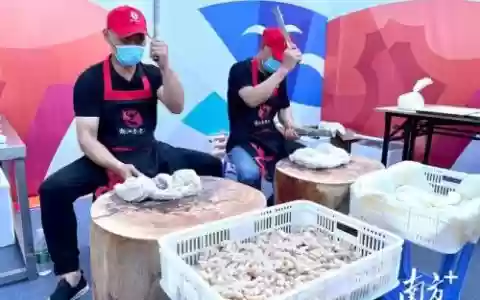 鱼丸活动阵容
