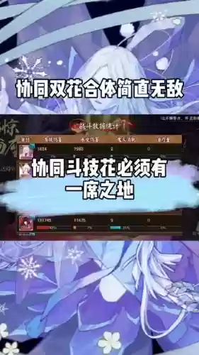 双花阵容_1插图 双花阵容_1插图