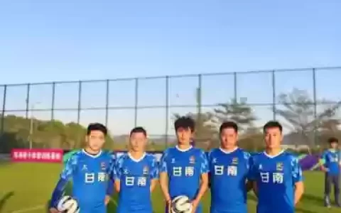 甘南队阵容