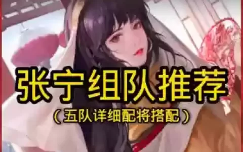 率土之滨张宁阵容搭配