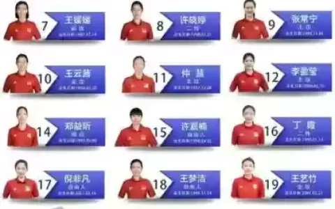 排球最终阵容