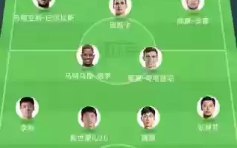 海港鲁能阵容_1
