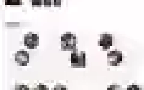 游侠顶级阵容搭配