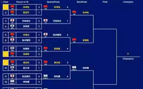 足球世乒赛阵容